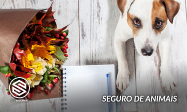 Seguro de Animais