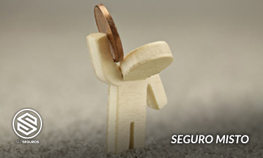 Seguro Misto
